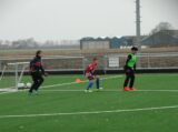 Training Schouwen-Duiveland Selectie Onder 13 & 14 op sportpark 'Het Springer' van woensdag 28 december 2022 (10/53)